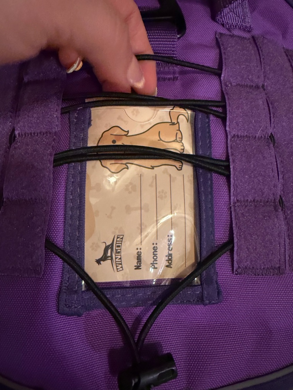 Purple Dog Life Jacket / Vest - Picture 3 of 8